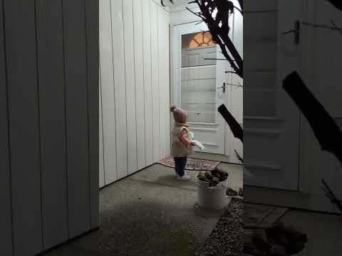 okay we're out of here 😂😂😂 #toddlermoments #youtubeshorts #toddlers #toddlerlife