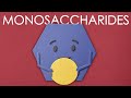 Monosaccharides and Photosynthesis Concepts