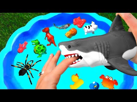 Learn with Wild Animals Toys - Sharks in Blue Water Tub - Toys For Kids