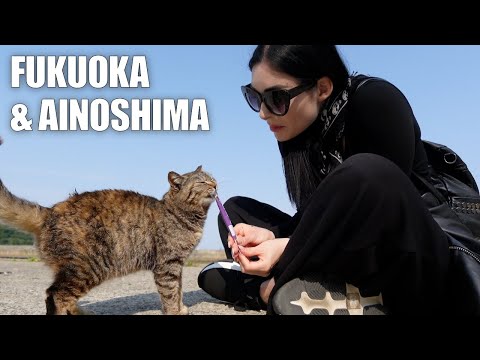 IL PARADISO FRA I GATTI - Lost in Japan Ep. 6 🇯🇵