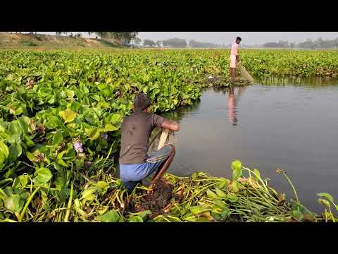 Net Fishing in The Village