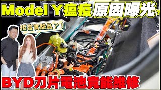 Model Y壞不停，BYD刀片電池拆解，我們都錯了【Echo's Ev Life】