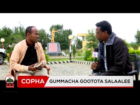 Copha |Gummacha Gootota Salaalee|