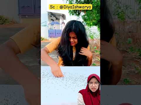 Sisir Rambutku hasilnya banyak‼️