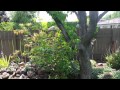 Restoration Ecology Concepts and Applications