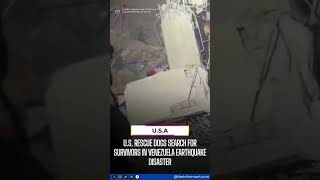🐕🇺🇸 Virginia Task Force 1 Rescue Dogs Join Venezuela Search Efforts