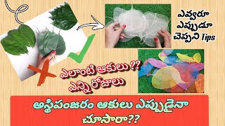అస్థిపంజరం ఆకులు👉ఎవ్వరైనా చేయొచ్చు కానీ!!🤔అన్ని ప్రశ్నలకు సమాధానం??  DIY Skelton Leaf Craft Ideas