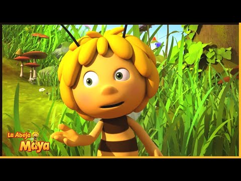 El concurso de bolas | La Abeja Maya 🐝 35' Compilación