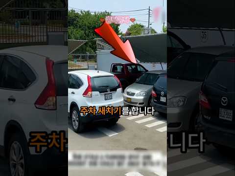주차장에서 새치기 주차를 한 여성이 겪게 된 충격적인 일