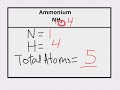 Chemical Formulas and Atom Counting