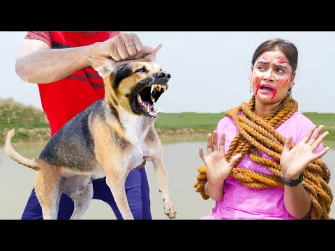 Top Comedy Video Amazing Funny Video 2025 😂 Try To Not Laugh Video Episode 337 By Busy Fun Ltd