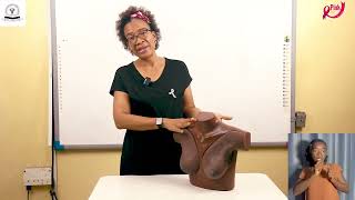 HOW TO DO A SELF BREAST EXAMINATION 🩷🌸- DR FLORENCE DEDEY