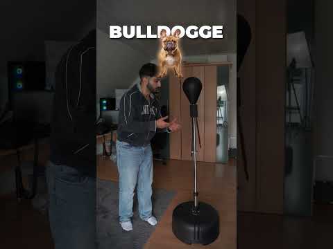 Arten von Schlägern Hunde Edition 2 #shorts