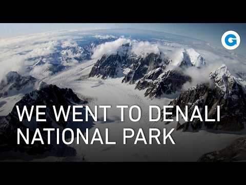 Denali National Park: Life Inside Alaska's Greatest Wilderness | Full Documentary