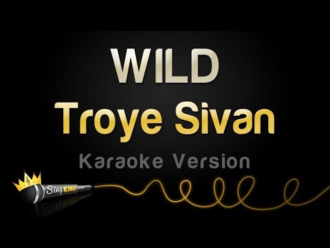 Troye Sivan – WILD (Karaoke Version)