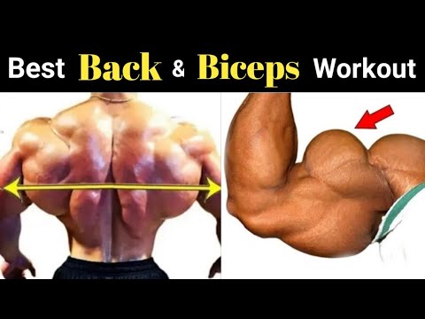 Biceps बड़े करें | Best Back and Biceps Workout | Lats workout, biceps workout, back workout | Amit