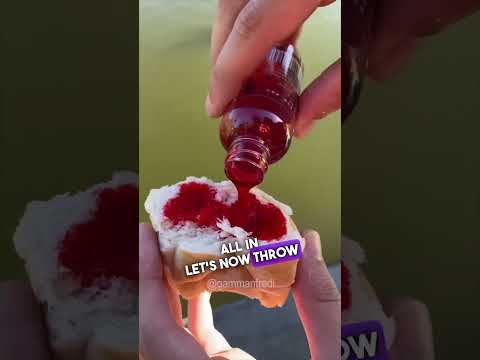 I tested the BEST FISH BAIT in the world!