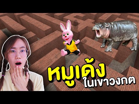 บันนี่กับหมูเด้งในเขาวงกต Moodeng Baby Hippo | Mind&Nat