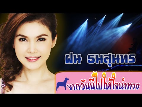 จากวันนี้ไปให้ใจนำทาง-ฝน ธนสุนทร[ OFFICIAL MV Lyrics ]