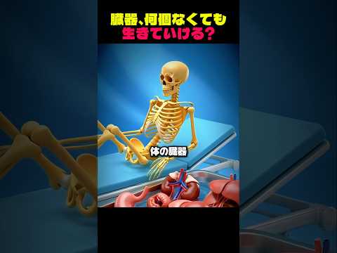 私たちの体の臓器、何個までなくても生きられるんでしょうか?