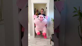 Giant Pig Broke Into Our House