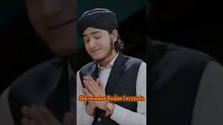 Chala Hoon Ek Mujrim Ki Tarah Main 🥺✨🥀 #duet #shortvideo #foryou #shorts #viral #naat #shortsfeed