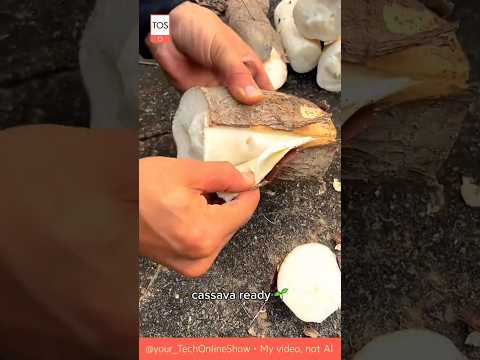 HAND SKILLS ✋ cassava peeling 🌿#crafts #skills #lifehack #shorts #craftsman #cassavaskills