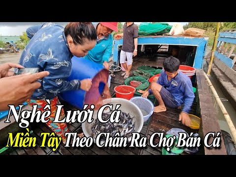 Việt Kiều Theo Chân Ngư Dân Miền Tây Bắt Cá & Bán Cá Ở Chợ Quê Ra Sao?