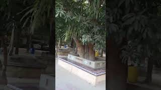 নরেন্দ্রপুর : স্মৃতির পথে হাঁটা 