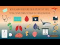 Healthcare Pathways and Roles
