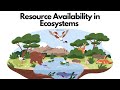 Impact of Resource Availability on Ecosystems