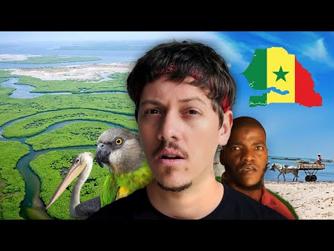 دخلت أمازون أفريقيا - دلتا سالوم السنغال 🇸🇳🏝️ Senegal