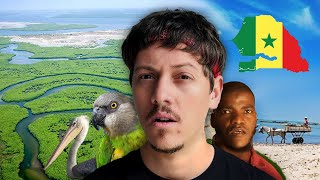 دخلت أمازون أفريقيا - دلتا سالوم السنغال 🇸🇳🏝️ Senegal