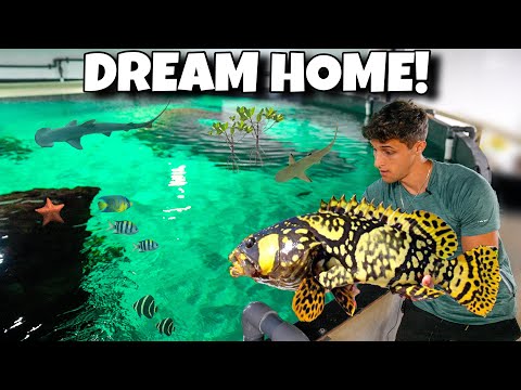 My EXOTIC FISH Get Their DREAM HOME!! *Fish Transfer*