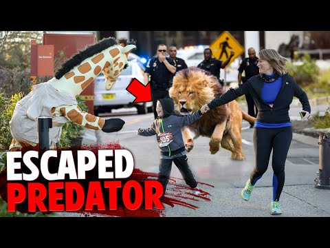 These 3 People Were EATEN ALIVE By Escaped Zoo Animals!