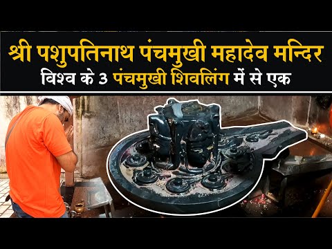 श्री पशुपतिनाथ पंचमुखी महादेव संभलहेड़ा | 600 साल पुराना है ये मंदिर😱 ❤️🙏 | Naveen Kinger