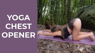 YOGA CHEST OPENER
