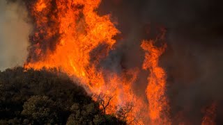 Bill O'Reilly - California Wildfire Analysis