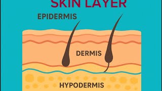 #LAser vsIPL # skinlayer explained # Tamilt# #Level4 Beauty Thetapy#4Dec- 2025,# Tamil Review# part3