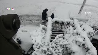 Child and nun barely escape disaster as tree falls during NYC blizzard, wild video shows