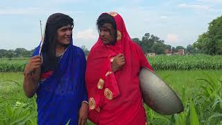 मक्के  के खेत में कर दिया #desicomedy #gudduyadavcomedy #chandeguru comedy #awadhicomedy #