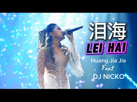 Lei Hai 泪海 （女生DJ版）- Huang Jia Jia 黄佳佳 「你怎么舍得让我的泪流向海，付出的感情永远找不回来 」