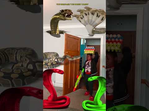 Animal funny video Anaconda snake python in my house in real life bhoot wala 1am #bhojpuri #vfx P1