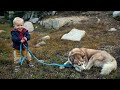 Exploring and Family Bonding through Road Trips