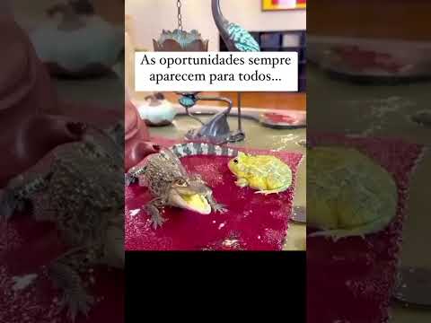 As oportunidades sempre aparecem para todos…