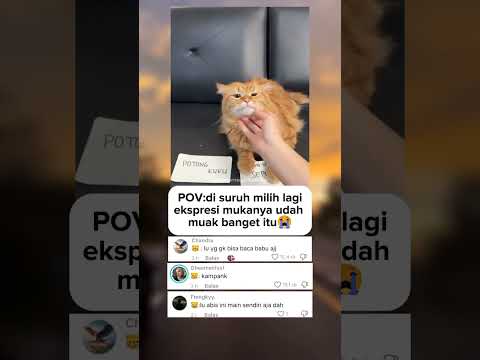 ekspresi mukanya udah tidak bisa berkata kata lagi😭😭
