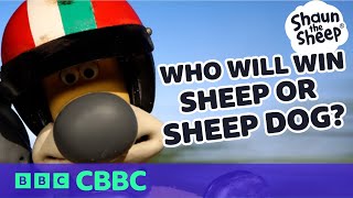 Bitzer’s F1 Road Race! | Shaun the Sheep | CBBC
