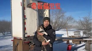 收掉帐篷打包好所有装备，带着雪地跑来的流浪猫出发下一段旅行