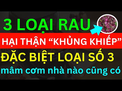 BÁC SĨ CẢNH BÁO 3 LOẠI RAU CÀNG ĂN NHIỀU CÀNG SỎI THẬN ĐẶC BIỆT LOẠI SỐ 3 MÂM CƠM VIỆT NÀO CŨNG CÓ