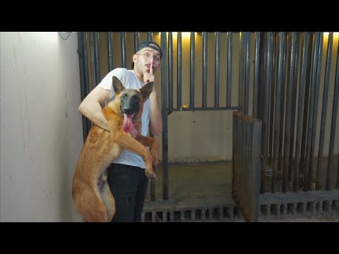مقلب في دستور (برلين انحاش) !!😱🔥